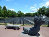 大王わさび農場の写真・動画_image_286003
