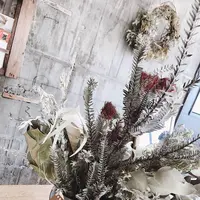 Northfields Sendai（ノースフィールズ）の写真・動画_image_286020