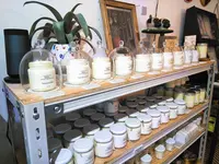 ＴＯＣＡの写真・動画_image_286109