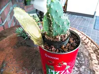 珈琲美学アベの写真・動画_image_286151