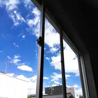栞日の写真・動画_image_286223