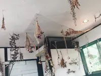 喫茶めがねの写真・動画_image_286276