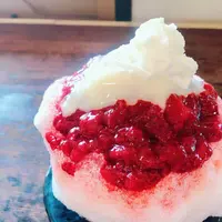 喫茶めがねの写真・動画_image_286279