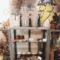 喫茶めがねの写真・動画_image_286281