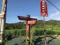 景行天皇纒向日代宮跡碑の写真・動画_image_286523