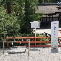 下鴨神社 西本殿の写真・動画_image_286666
