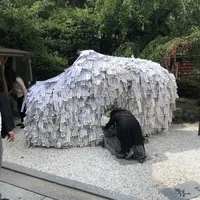 安井金比羅宮の写真・動画_image_286684