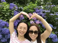 開成あじさいの里の写真・動画_image_287422