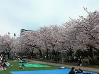 錦糸公園の写真・動画_image_287663