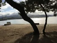 小戸公園の写真・動画_image_287738