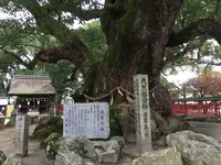 宇美八幡宮の写真・動画_image_287753