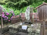 誕生寺の写真・動画_image_288265