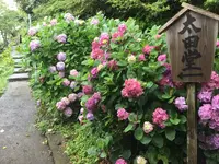 東京湾フェリーの写真・動画_image_288277
