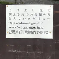 元離宮 二条城の写真・動画_image_288681