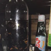 獣肉酒家 米とサーカスの写真・動画_image_288853