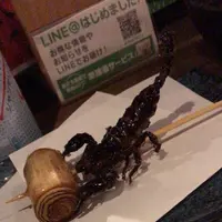 獣肉酒家 米とサーカスの写真・動画_image_288855