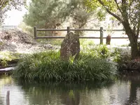 記紀の道の写真・動画_image_288896