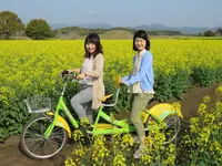 西都原ガイダンスセンター このはな館 の写真・動画_image_288919