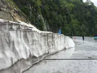 大観峰の写真・動画_image_289571