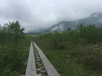 弥陀ヶ原の写真・動画_image_289588