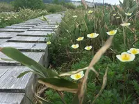 弥陀ヶ原の写真・動画_image_289590