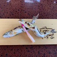 長良川鵜飼観覧船の写真・動画_image_289753
