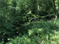 ギドリー・パークの写真・動画_image_289962