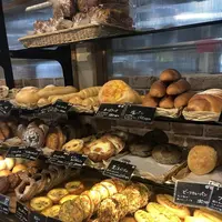 蔵日和の写真・動画_image_290013