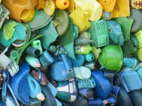 宇野のチヌの写真・動画_image_290064