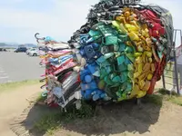 宇野のチヌの写真・動画_image_290065