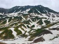 室堂平の写真・動画_image_290078