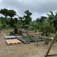 小浜荘の写真・動画_image_290153