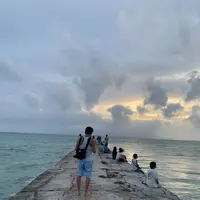 西桟橋の写真・動画_image_290163