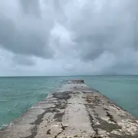 西桟橋の写真・動画_image_290164