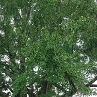 木喰五智館の写真・動画_image_290304