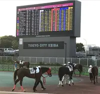 大井競馬場の写真・動画_image_290311