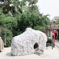 安井金比羅宮の写真・動画_image_290339