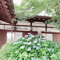 藤森神社の写真・動画_image_290341