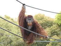 とべ動物園の写真・動画_image_290482