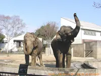 とべ動物園の写真・動画_image_290648