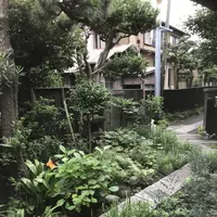 シェ・サマンサの写真・動画_image_291262