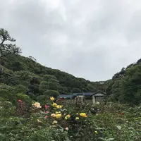 鎌倉文学館の写真・動画_image_291266