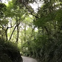 鎌倉文学館の写真・動画_image_291267