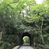 鎌倉文学館の写真・動画_image_291268