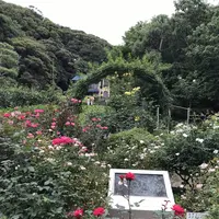 鎌倉文学館の写真・動画_image_291269