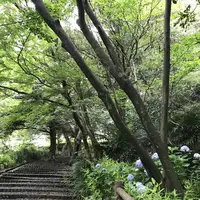 鎌倉文学館の写真・動画_image_291270