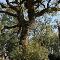 等乃伎神社の写真・動画_image_291451