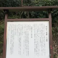 稚櫻神社の写真・動画_image_291452