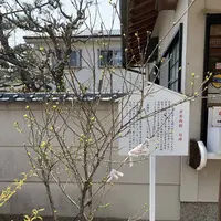 柴籬神社の写真・動画_image_291461