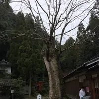 葛城一言主神社の写真・動画_image_291473